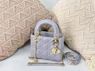 DIOR Handbags 400